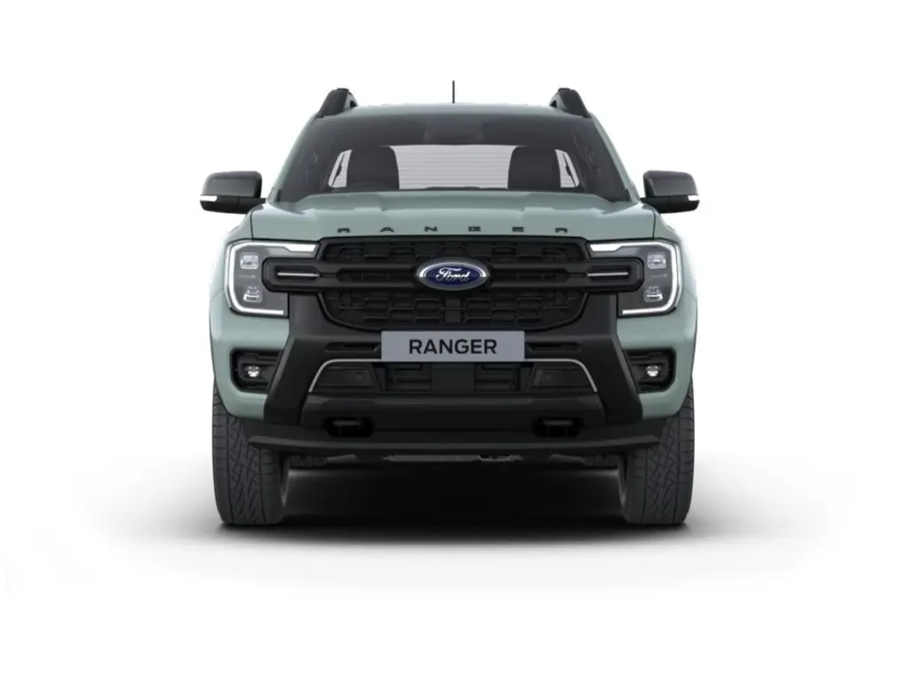Ford Ranger Petrol Pick UP D/Cab Stormtrak 2.3 Ecoboost Phev 281 Auto